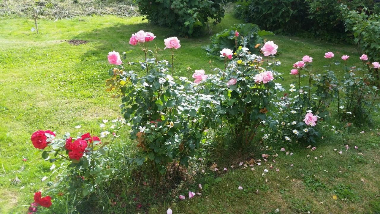 Götene Kinne-Vedum Bed And Breakfast المظهر الخارجي الصورة